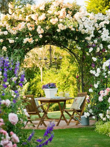 187 6 Những lối vào nhà vườn thơ mộng hơn với cổng ngập tràng sắc hoa